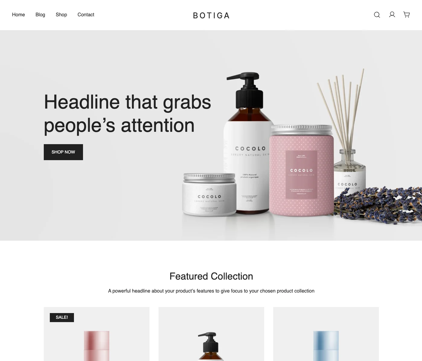 Botiga demo — modern grid layout with premium WooCommerce features available for free